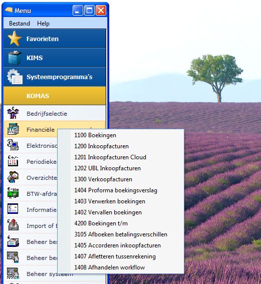 Submenu Financiële programma's